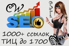 SEO и трафик 11 - kwork.ru