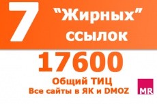 SEO и трафик 18 - kwork.ru